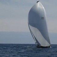 kite