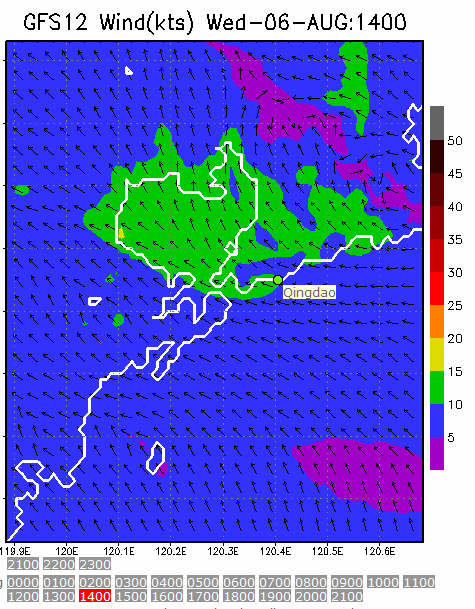 1km Resolution forecast map at 2pm during race time