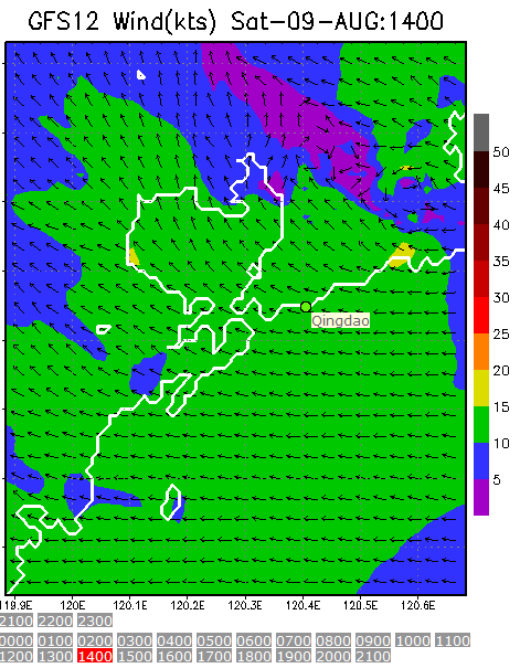 1km Resolution forecast map at 2pm during race time