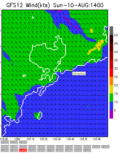 1km Resolution forecast map at 2pm during race time