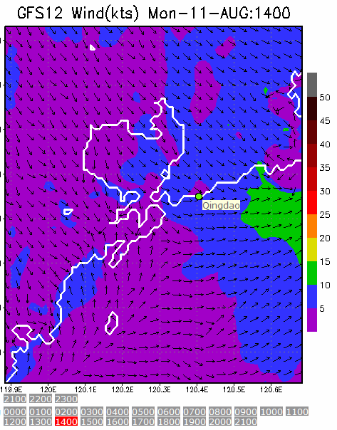 1km Resolution forecast map at 2pm during race time