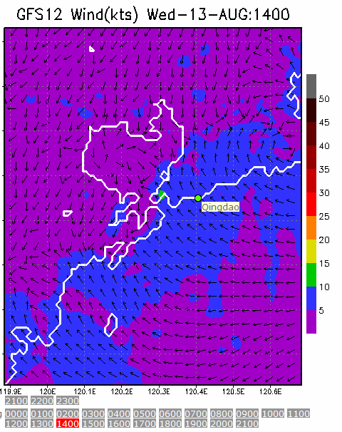 1km Resolution forecast map at 2pm during race time