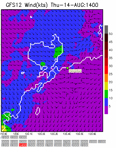 1km Resolution forecast map at 2pm during race time