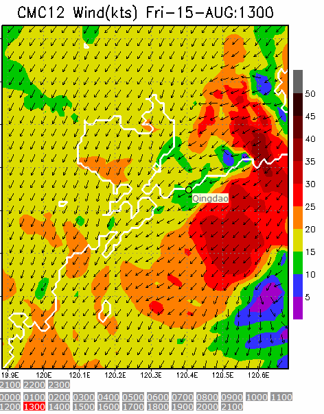 1km Resolution forecast map at 1pm during race time