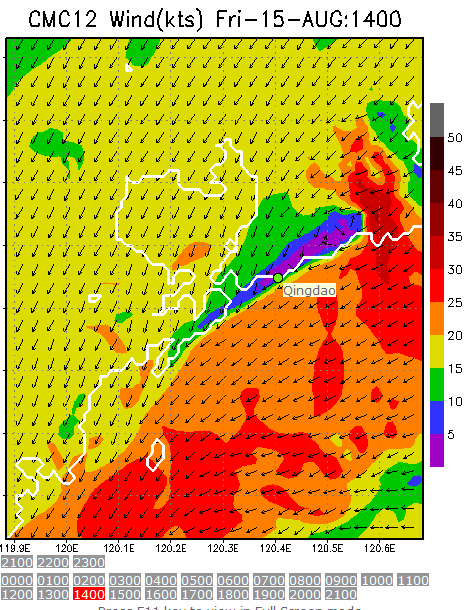 1km Resolution forecast map at 2pm during race time