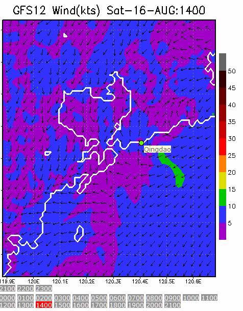 1km Resolution forecast map at 2pm during race time
