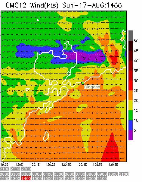 1km Resolution forecast map at 2pm during race time