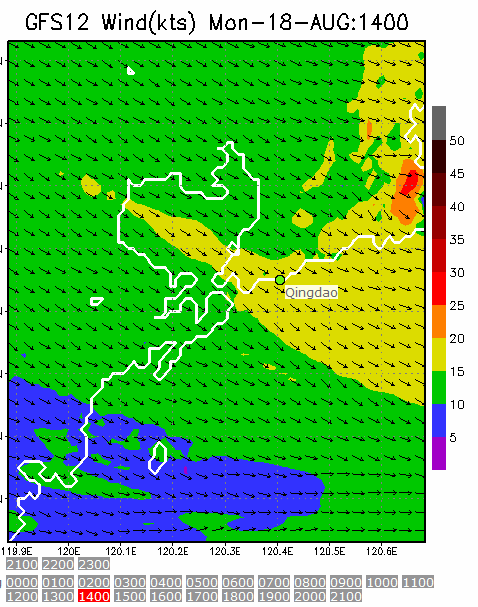 1km Resolution forecast map at 2pm during race time