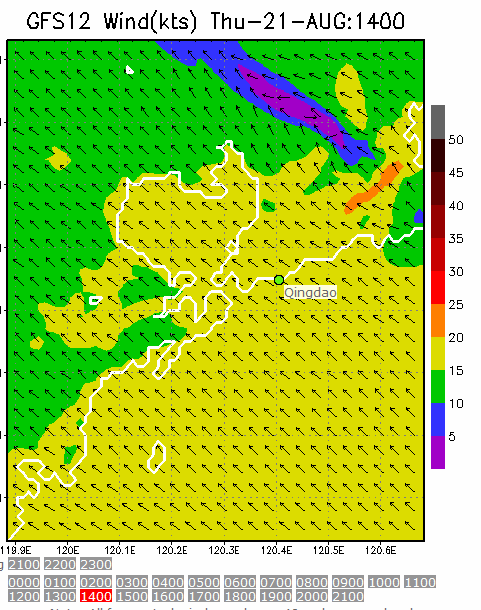 1km Resolution forecast map at 2pm during race time