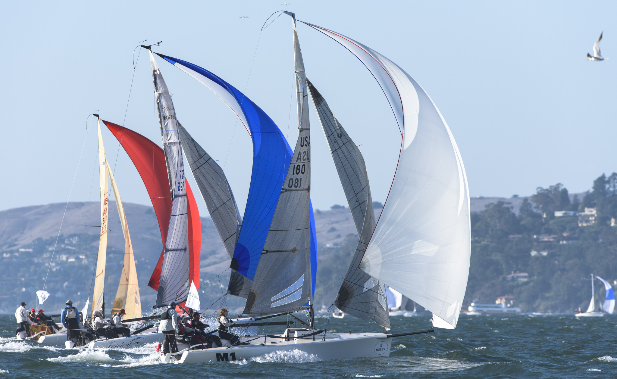 PHOTOS: Rolex Big Boat Series 2015 >> Scuttlebutt Sailing News