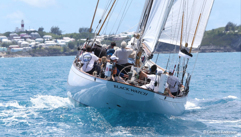 sailboat race to bermuda