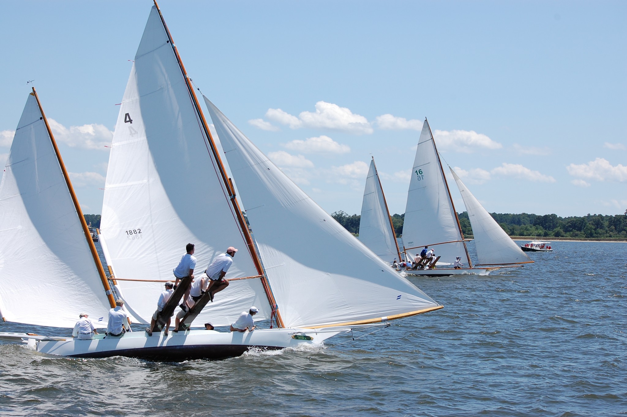 PHOTOS: Log Canoes of Chesapeake Bay >> Scuttlebutt Sailing News