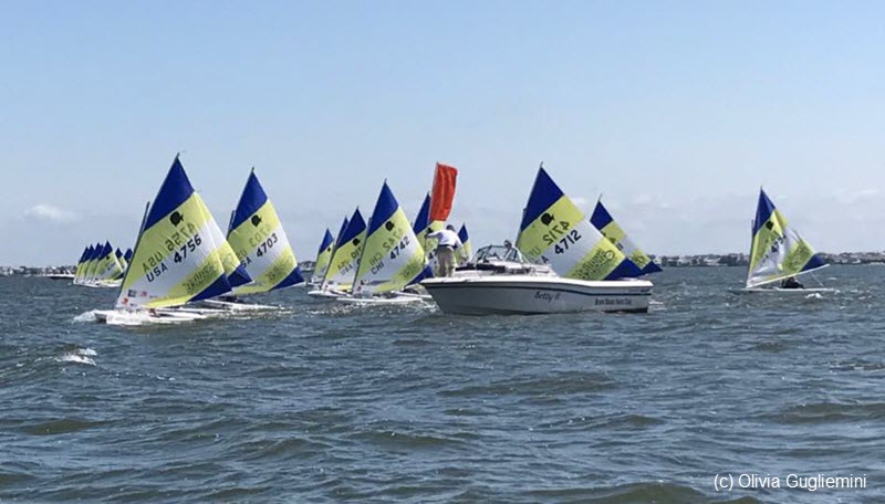Racing returns for sunfish worlds