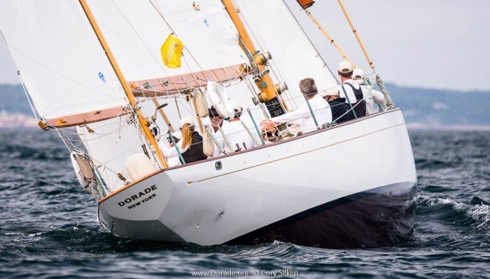 dorade yacht classic