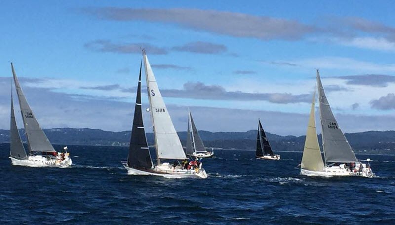 Vic-Maui Race Gets Underway >> Scuttlebutt Sailing News