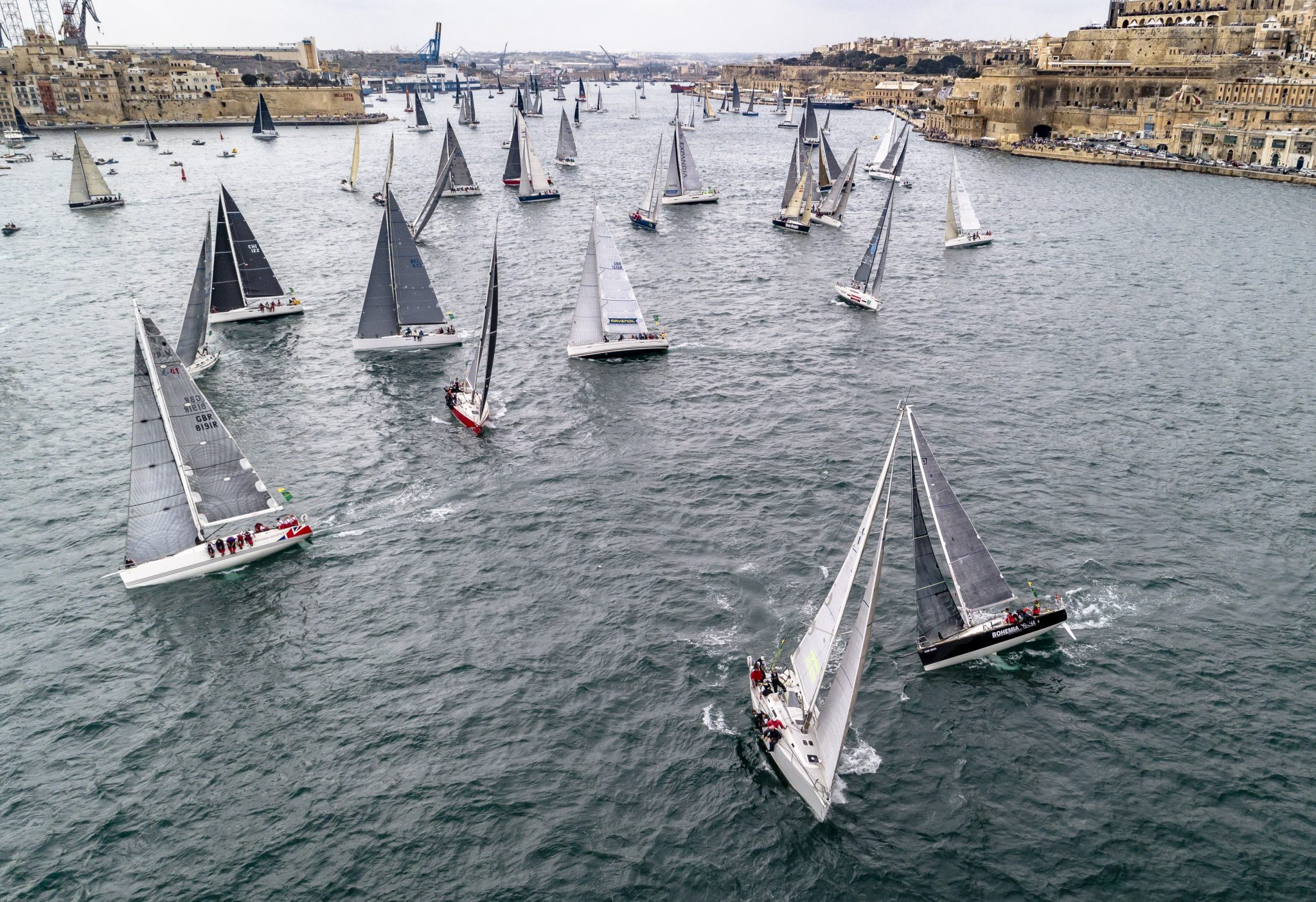 rolex ocean race