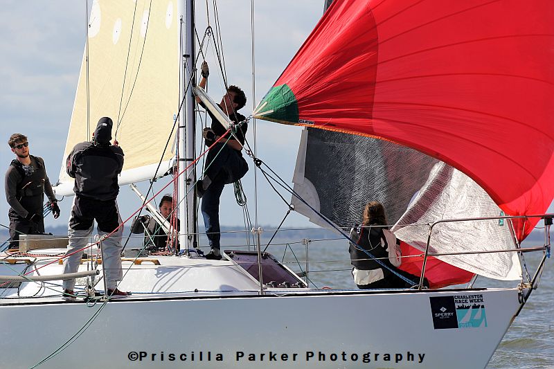 Southern Collegiate Offshore Regatta >> Scuttlebutt Sailing News
