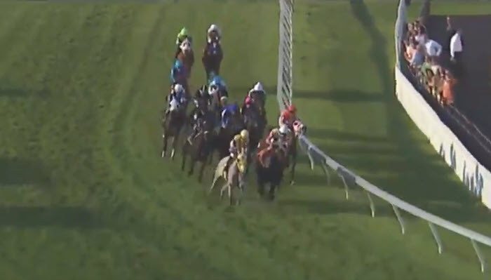 Video: if disease was a horse race