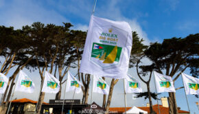 sailboat race san francisco